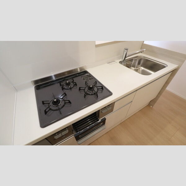 ビーネ北坂戸202号室 システムキッチン