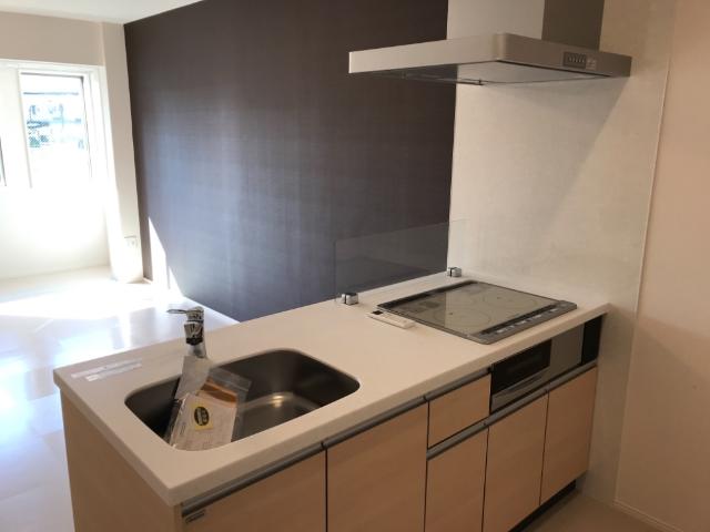 ナチュラルファースト206号室 ＩＨクッキングヒーター