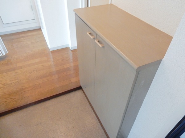 カーサ南流山 玄関