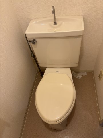 テルージュ菊名Ⅱ0303号室 トイレ