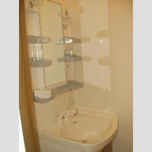 エミネンス102号室 洗髪洗面化粧台