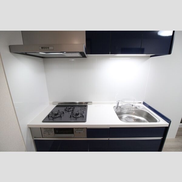 Maestro (マエストロ)102号室 システムキッチン