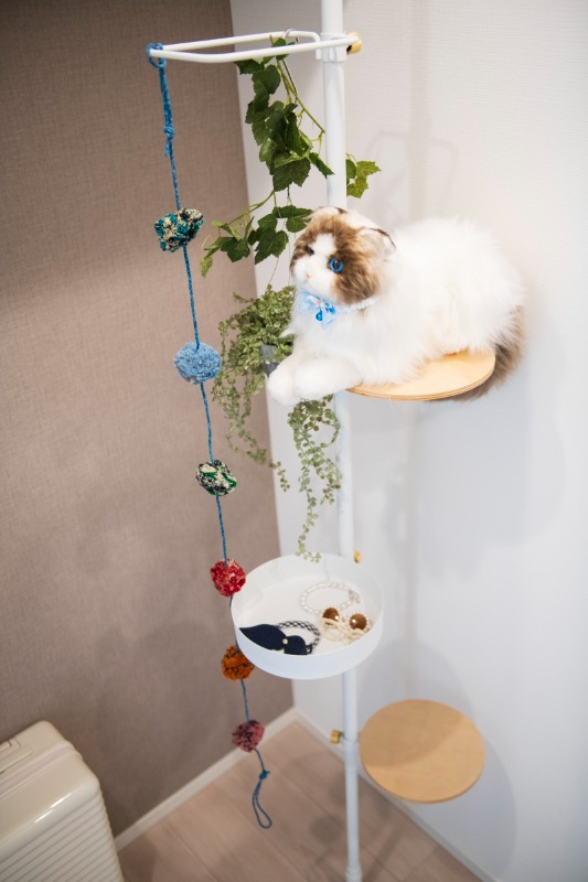 クレヴィアリグゼ西馬込2階 部屋その他