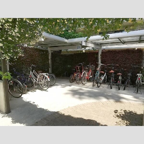 ガーデンハウス　C 駐輪場