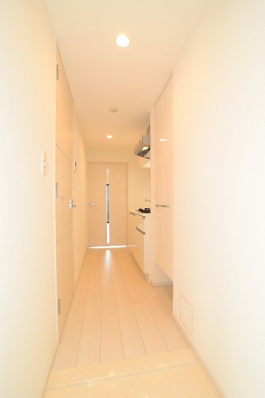 ステージグランデ菊川4階 玄関