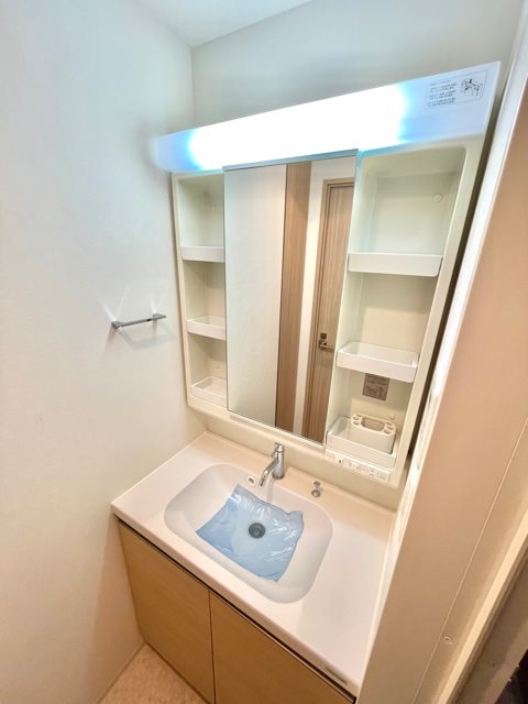 レジディア新御徒町Ⅱ6階 洗面