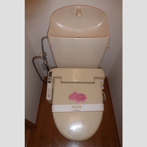 アメジストセージ トイレ