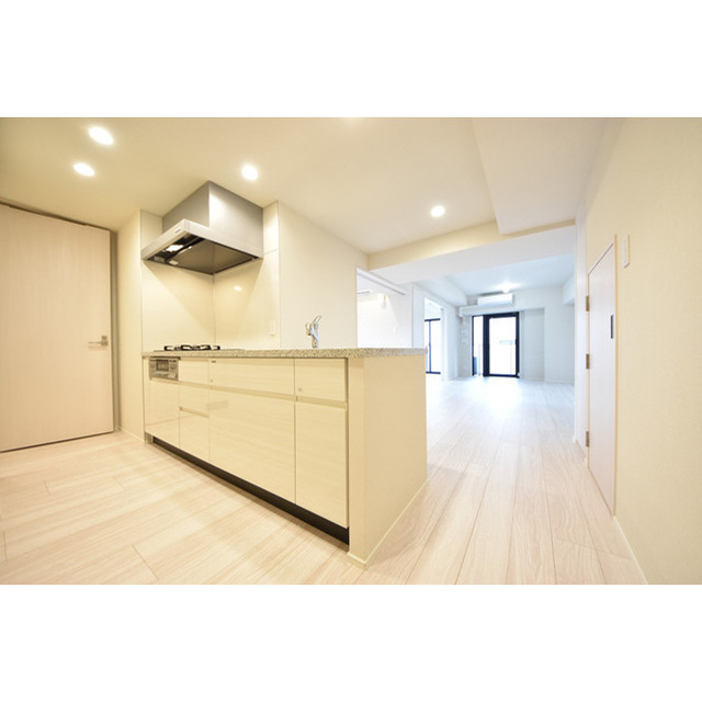 343レジデンス西麻布（オープンレジデンシア）0501号室 内観