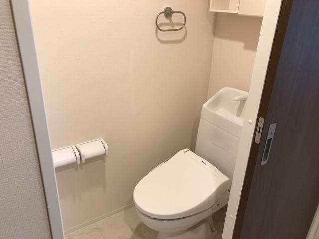 ミカーサ八木町901号室 トイレ