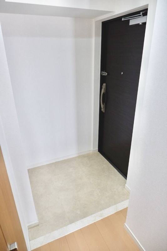 スカイプラザⅡ8階 玄関