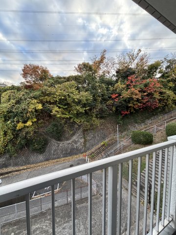 メゾン朝比奈0304号室 展望