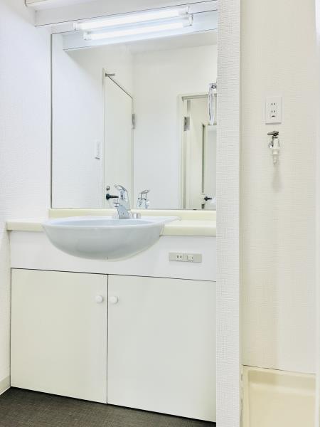 スカイフィールド国立2階 洗面