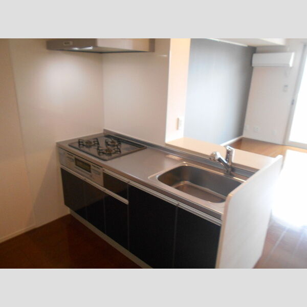 イルソーレ吉川美南　ジャッロ202号室 対面式キッチン