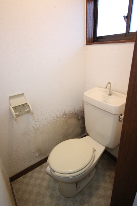 フラワーハイツ（南台）2階 部屋その他