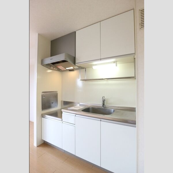 ラフォーレ上ノ台　B305号室 キッチン