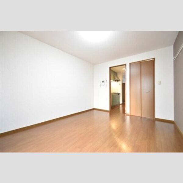 ドルフ・花みずきK101号室 居室