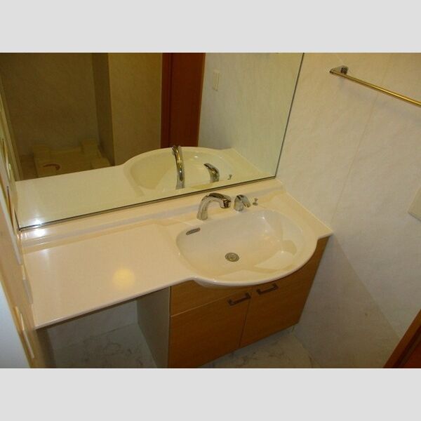 ヴェルデ コリーナ　弐番館202号室 洗髪洗面化粧台