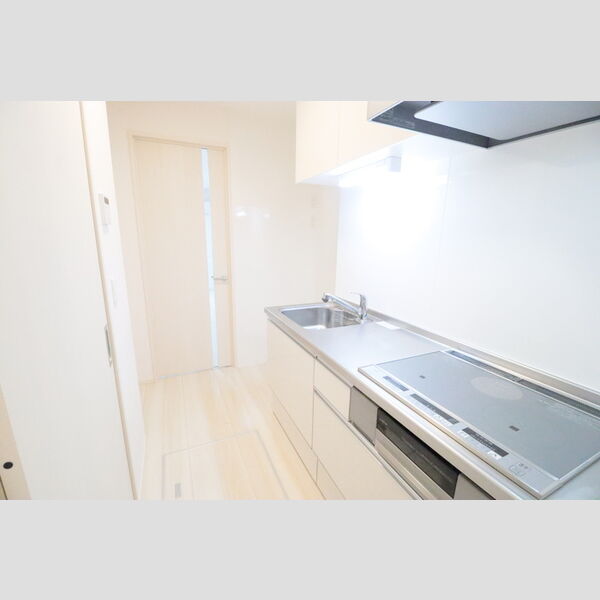 ルミナス ハイム103号室 システムキッチン