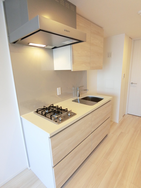 ザ・パークハビオ月島フロント408号室 Bタイプ2019年10月撮影 同タイプ1008号室の写真です。