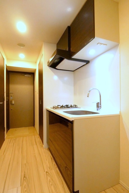 ハーモニーレジデンス錦糸町#0024階 同建物別部屋の参考画像