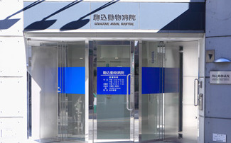 Log駒込／ログ駒込1102号室 【動物病院】駒込動物病院まで105ｍ