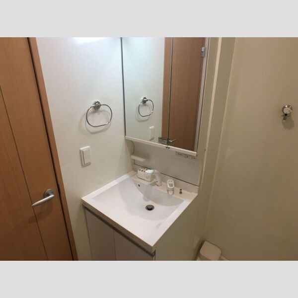 アルカディア101号室 シャワー付洗面化粧台