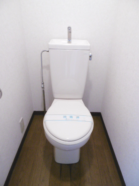 ロイヤルコート・オガワ0605号室 トイレ