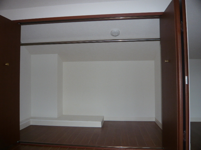 ラフィネパルク新浜0502号室 収納