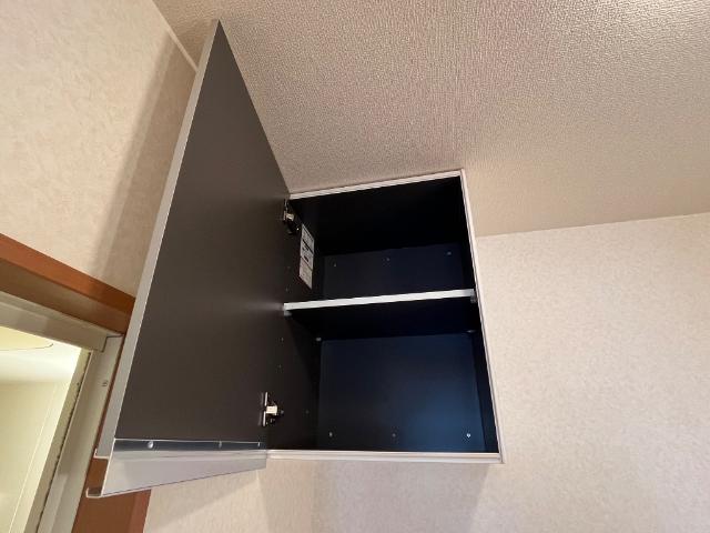 プラム　ツリィ 収納