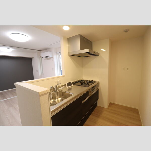 N・D-ROOM IIDACHOU　A棟202号室 対面キッチン