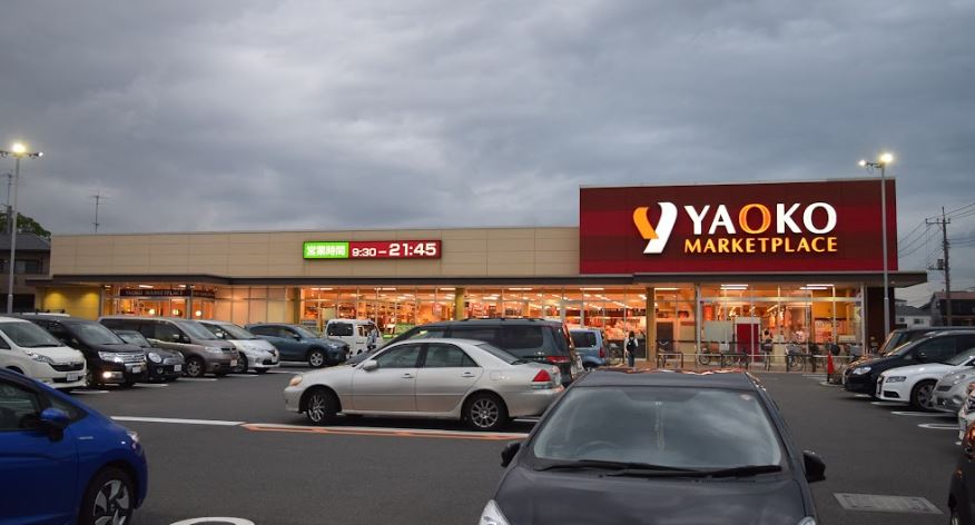 レオパレスアゼリアカーサ309号室 部屋その他