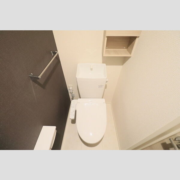 D Paina 中野島Ⅱ202号室 トイレ