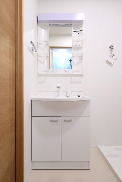 リタ王子神谷5階 洗面