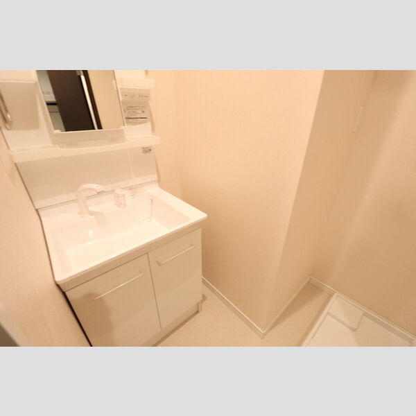 アエル新所沢111号室 洗髪洗面化粧台