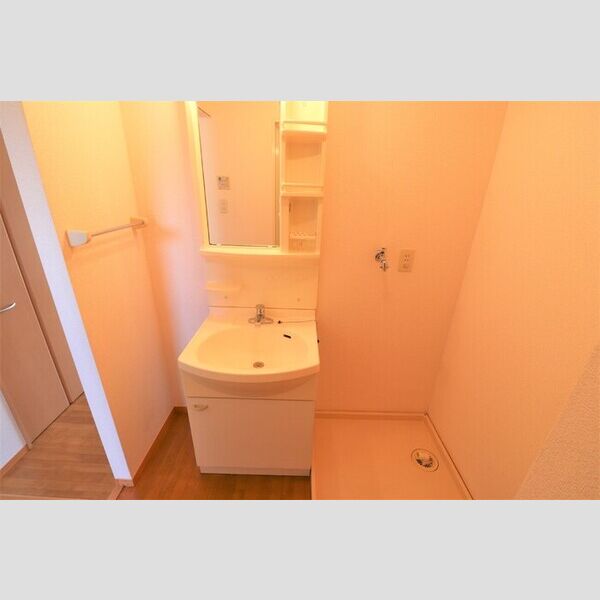 プチパラダイス202号室 洗面台