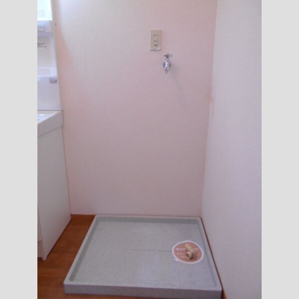 エスポワール203号室 室内洗濯機置場