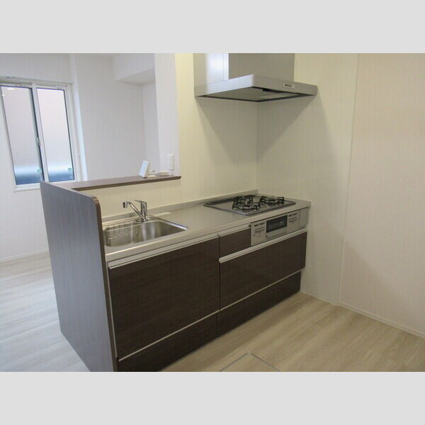 N・D-ROOM IIDACHOU　A棟105号室 システムキッチン