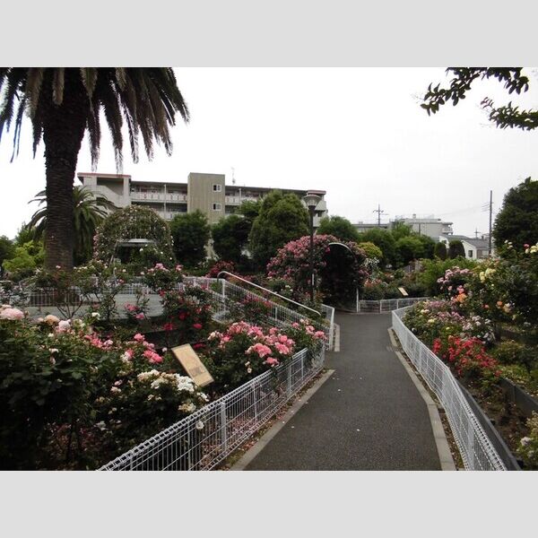 セレスティア青井 清和バラ公園