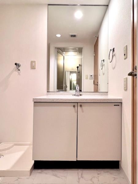 ＳＳ．ＦＬＡＴ神楽坂ｓｏｕｔｈ4階 洗面