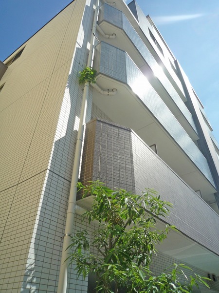 ＸＥＢＥＣ高井戸308号室 外観