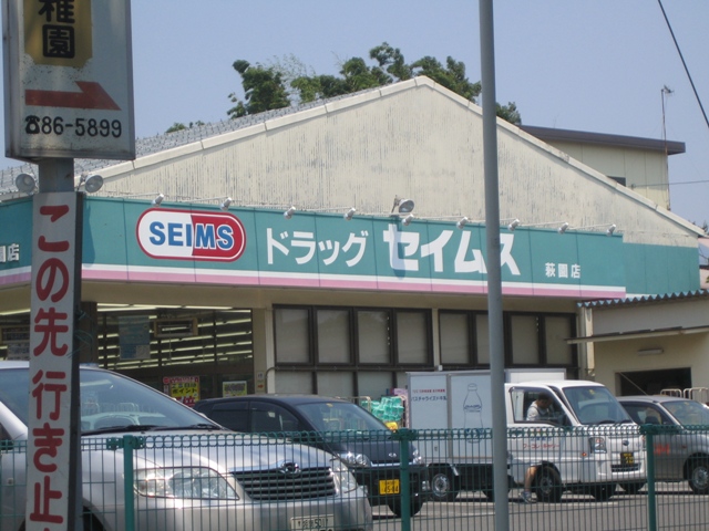 ラベンダー湘南 セイムスまで650ｍ