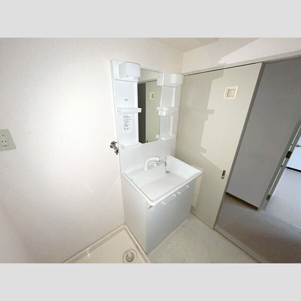 エクセルハイム海宝204号室 洗髪洗面化粧台