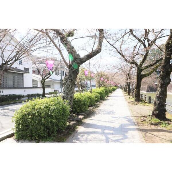 フォレストリータウン西小路 周辺