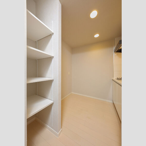 カスタリア三宿0307号室 収納