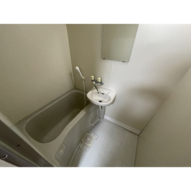 ドミール上池台0101号室 浴室