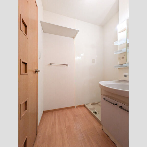 シェドプール 洗面