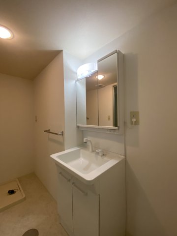 ドルチェ武蔵野0203号室 洗面