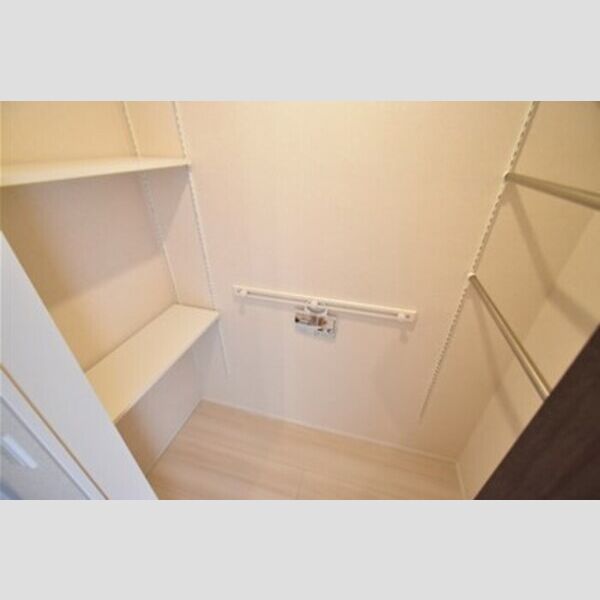 D-room塚原戸建　A棟101号室 ワンステップクローゼット