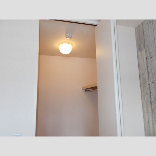 サニーフラット三ツ沢203号室 ウォークインクローゼット