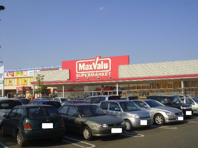 マルベリー ＭａｘＶａｌｕｅまで2,900ｍ